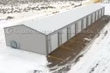 Europe Width (Span) : 24m, Height: 6m, Length: 18-60m, Prefab Light Frame Standard Steel Structure Farm Building / Warehouse with CE
